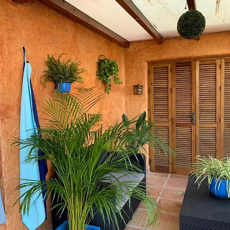 Con Jacuzzi Y Terraza Con Opcion A Piscina Privada דירה *